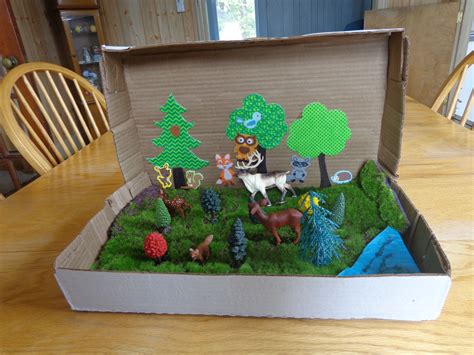 What Is A Shoebox Diorama .